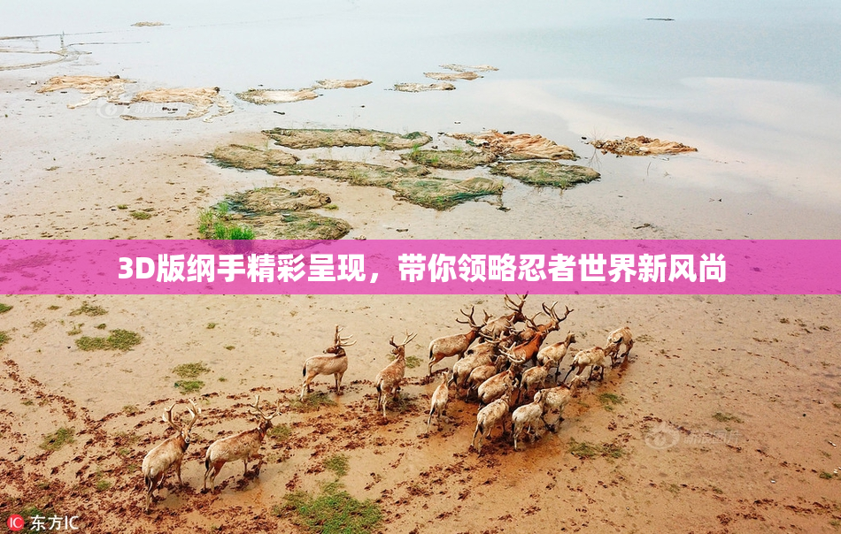 3D版纲手精彩呈现，带你领略忍者世界新风尚