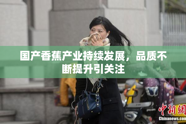 国产香蕉产业持续发展，品质不断提升引关注