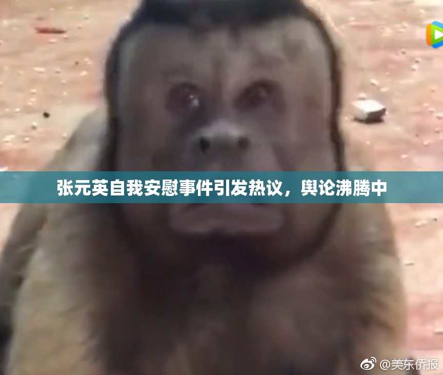 张元英自我安慰事件引发热议，舆论沸腾中