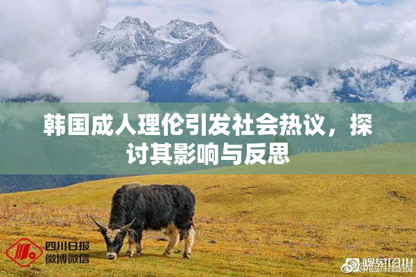 韩国成人理伦引发社会热议，探讨其影响与反思