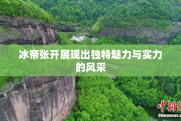 冰帝张开展现出独特魅力与实力的风采