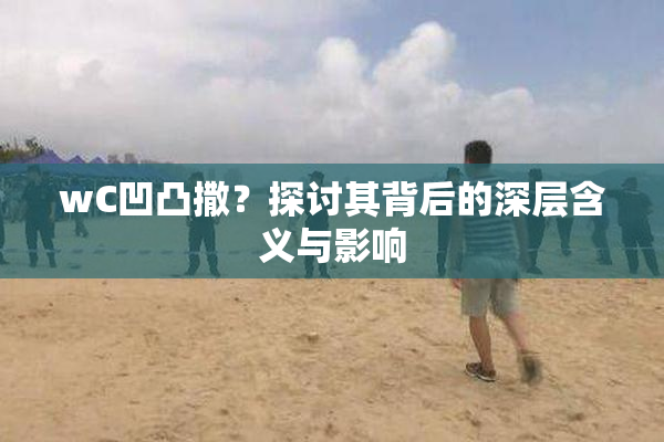 wC凹凸撒？探讨其背后的深层含义与影响