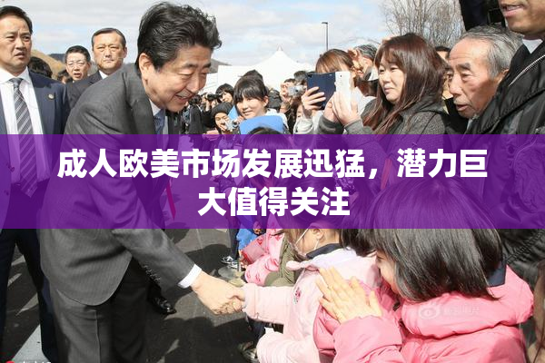 成人欧美市场发展迅猛，潜力巨大值得关注