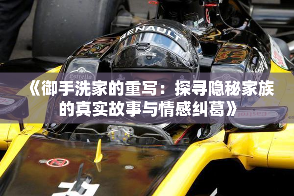 《御手洗家的重写：探寻隐秘家族的真实故事与情感纠葛》