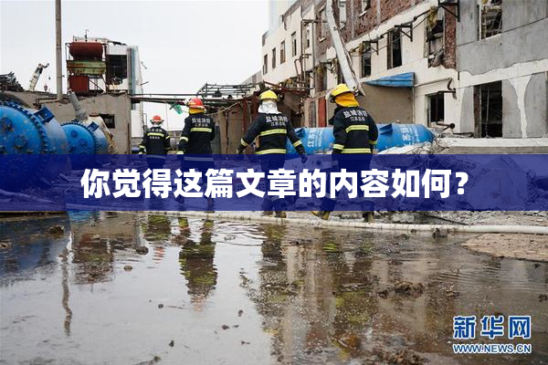 你觉得这篇文章的内容如何？