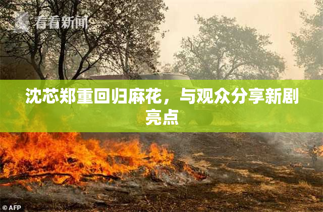沈芯郑重回归麻花，与观众分享新剧亮点