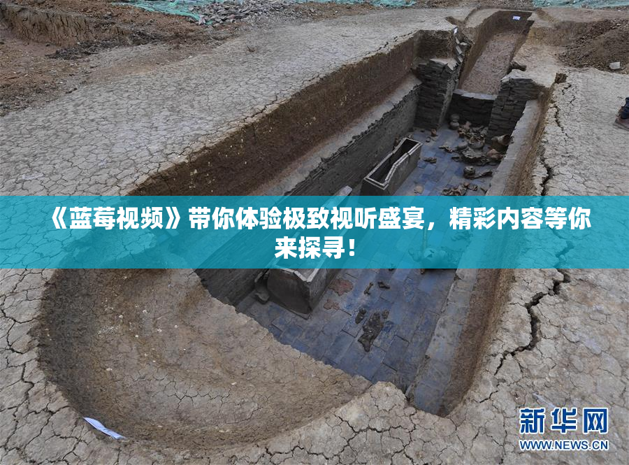 《蓝莓视频》带你体验极致视听盛宴，精彩内容等你来探寻！