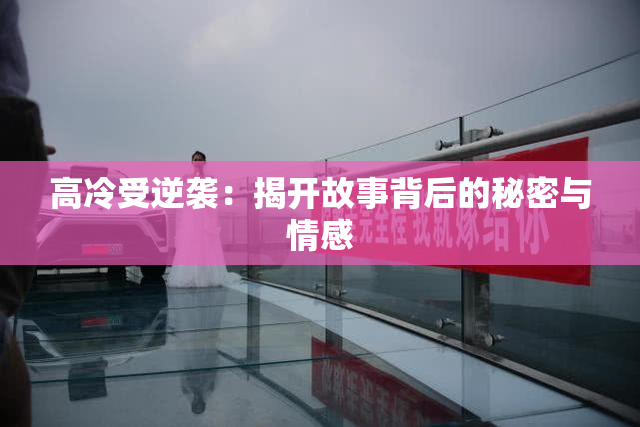 高冷受逆袭：揭开故事背后的秘密与情感