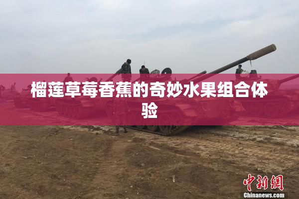 榴莲草莓香蕉的奇妙水果组合体验