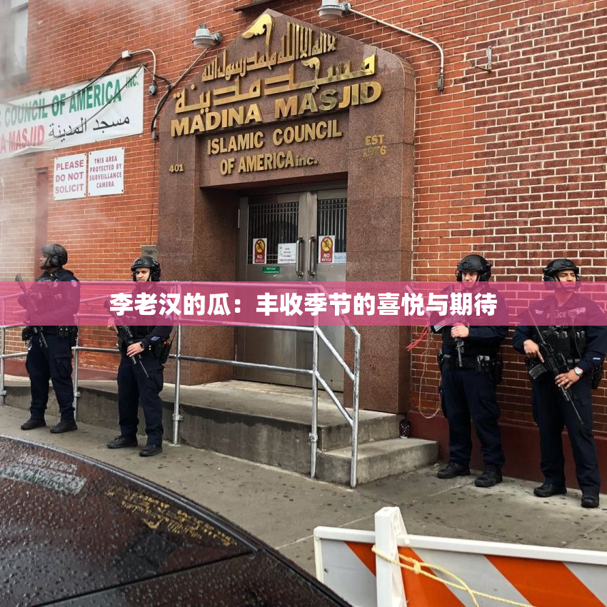 李老汉的瓜：丰收季节的喜悦与期待