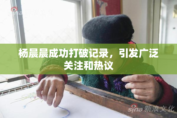 杨晨晨成功打破记录，引发广泛关注和热议