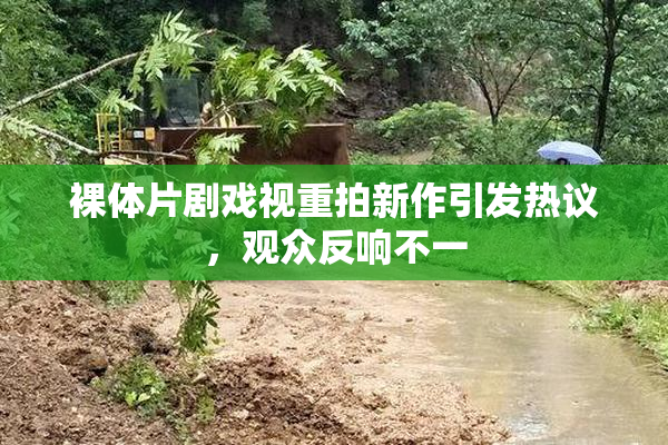 裸体片剧戏视重拍新作引发热议，观众反响不一