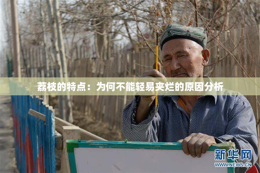 荔枝的特点：为何不能轻易夹烂的原因分析