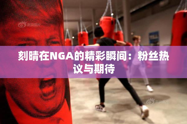 刻晴在NGA的精彩瞬间：粉丝热议与期待