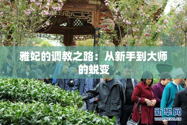 雅妃的调教之路：从新手到大师的蜕变