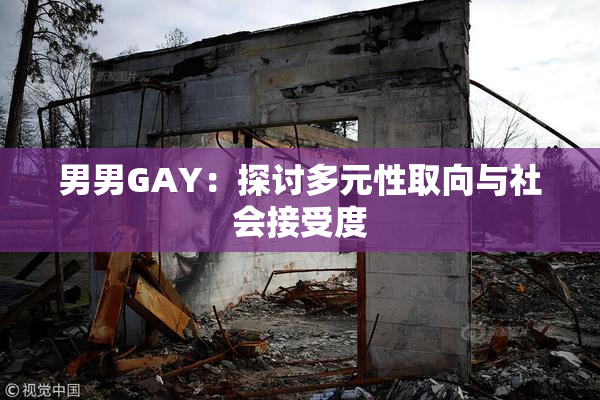 男男GAY：探讨多元性取向与社会接受度