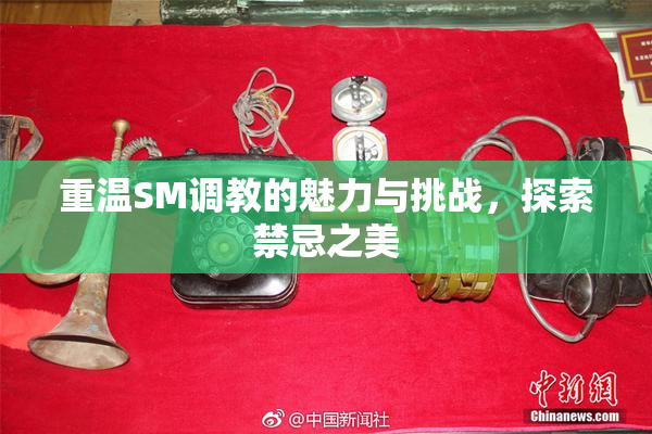 重温SM调教的魅力与挑战，探索禁忌之美
