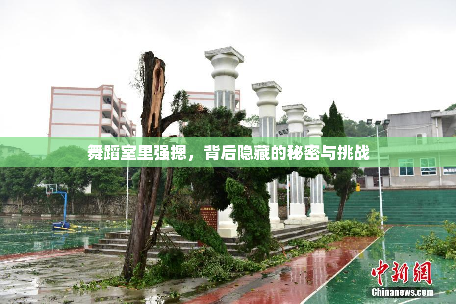 舞蹈室里强摁，背后隐藏的秘密与挑战