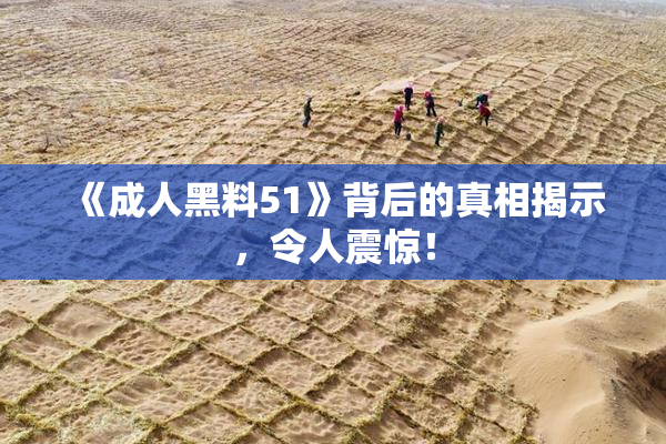 《成人黑料51》背后的真相揭示，令人震惊！