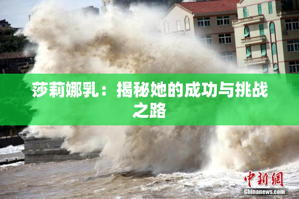 莎莉娜乳：揭秘她的成功与挑战之路