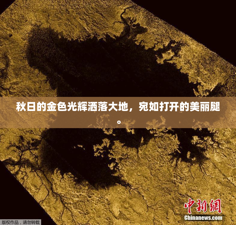 秋日的金色光辉洒落大地，宛如打开的美丽腿。