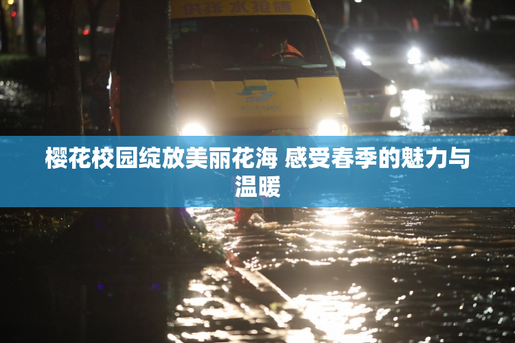 樱花校园绽放美丽花海 感受春季的魅力与温暖