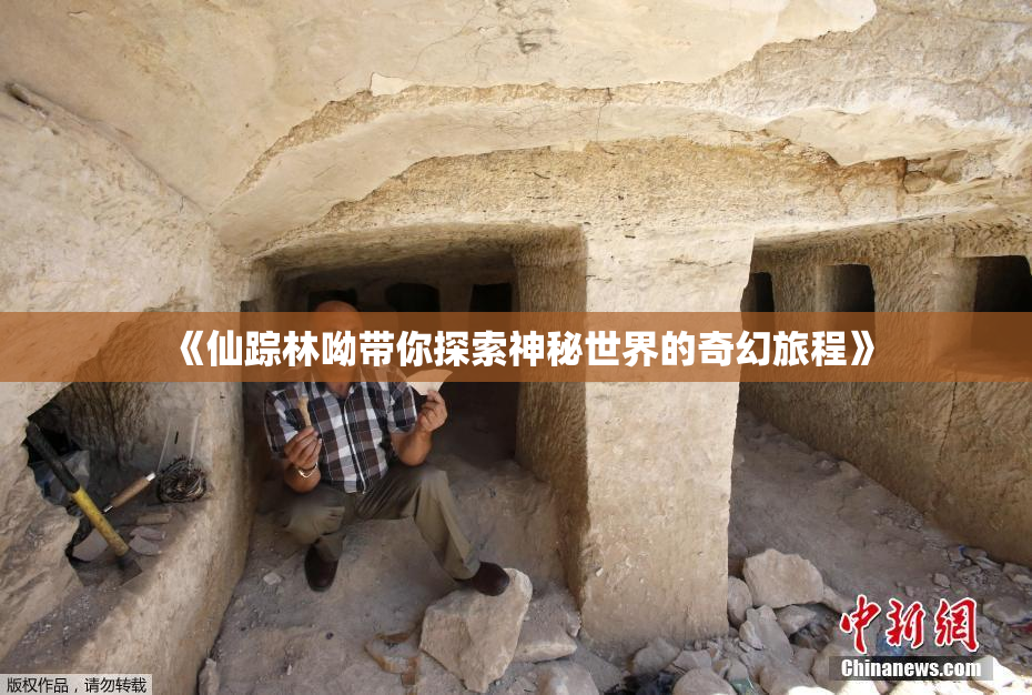 《仙踪林呦带你探索神秘世界的奇幻旅程》