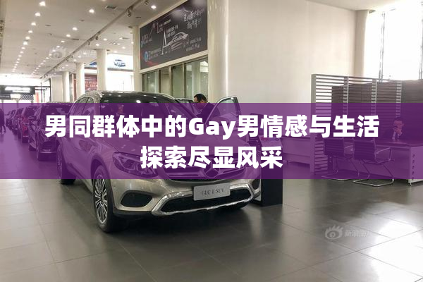 男同群体中的Gay男情感与生活探索尽显风采