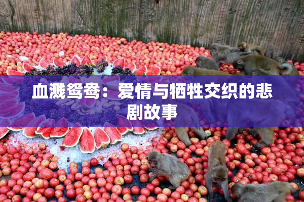 血溅鸳鸯：爱情与牺牲交织的悲剧故事