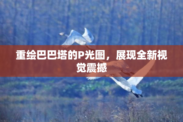 重绘巴巴塔的P光图，展现全新视觉震撼