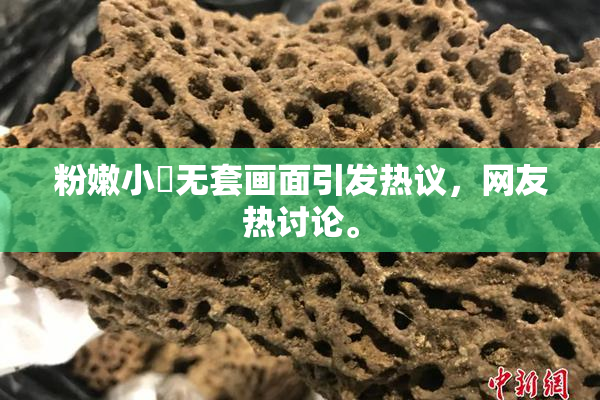 粉嫩小泬无套画面引发热议，网友热讨论。
