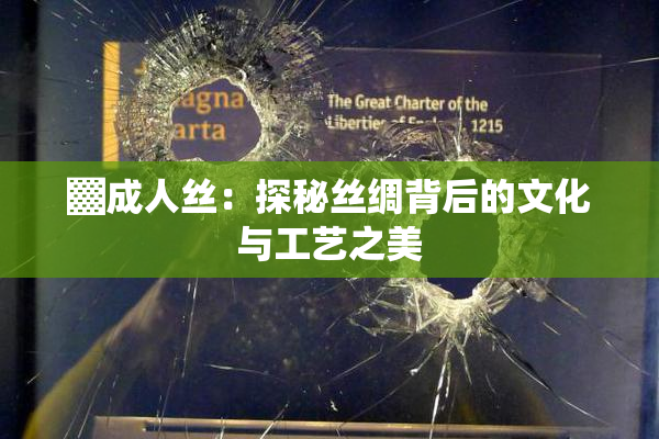 ▓成人丝：探秘丝绸背后的文化与工艺之美