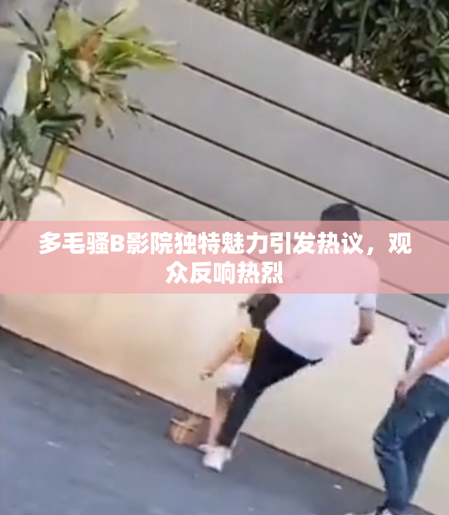 多毛骚B影院独特魅力引发热议，观众反响热烈