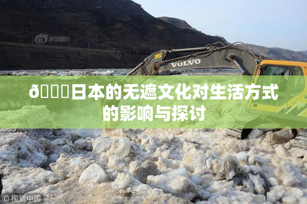🔞日本的无遮文化对生活方式的影响与探讨
