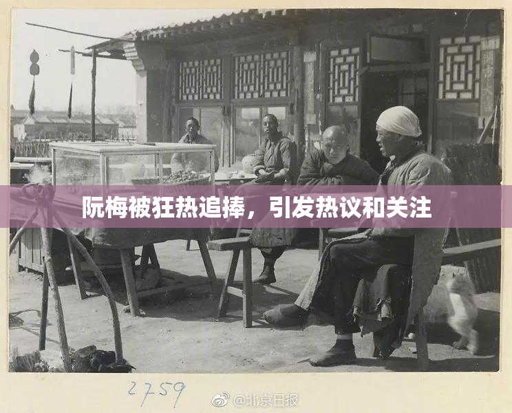 阮梅被狂热追捧，引发热议和关注