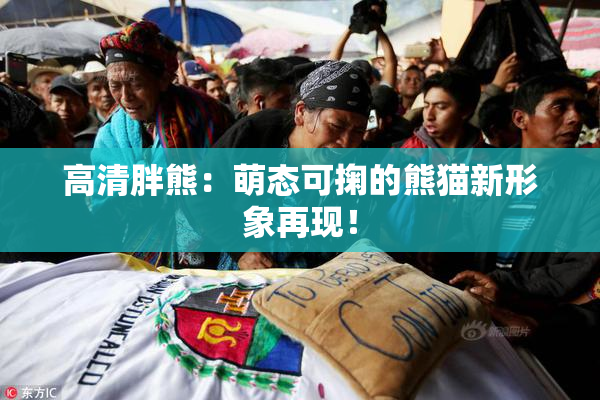高清胖熊：萌态可掬的熊猫新形象再现！