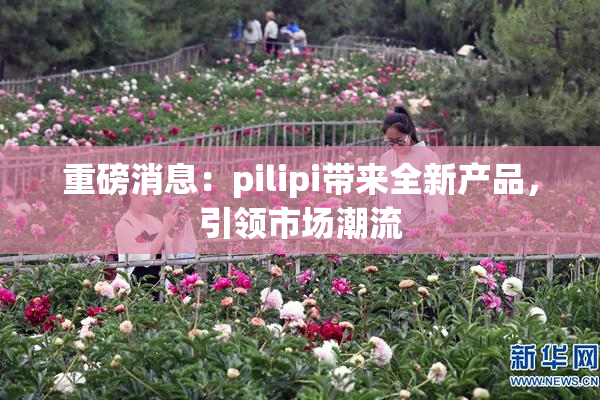 重磅消息：pilipi带来全新产品，引领市场潮流