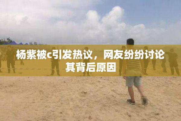 杨紫被c引发热议，网友纷纷讨论其背后原因