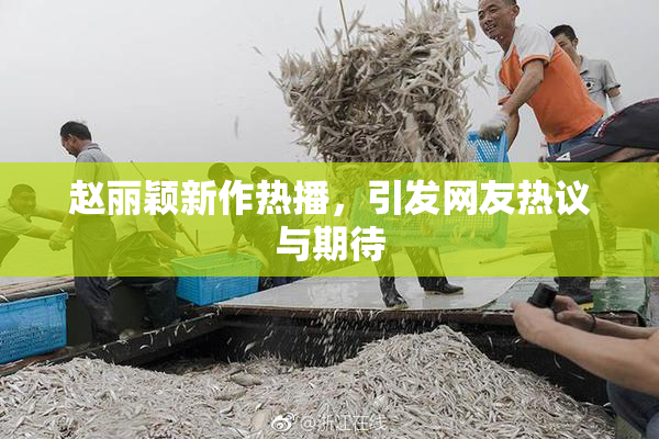 赵丽颖新作热播，引发网友热议与期待