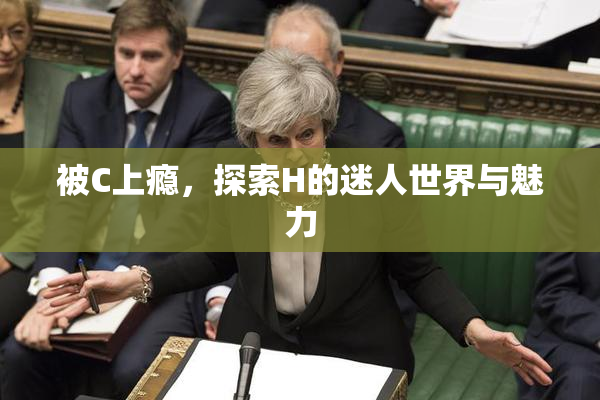 被C上瘾，探索H的迷人世界与魅力