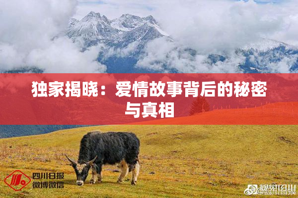 独家揭晓：爱情故事背后的秘密与真相