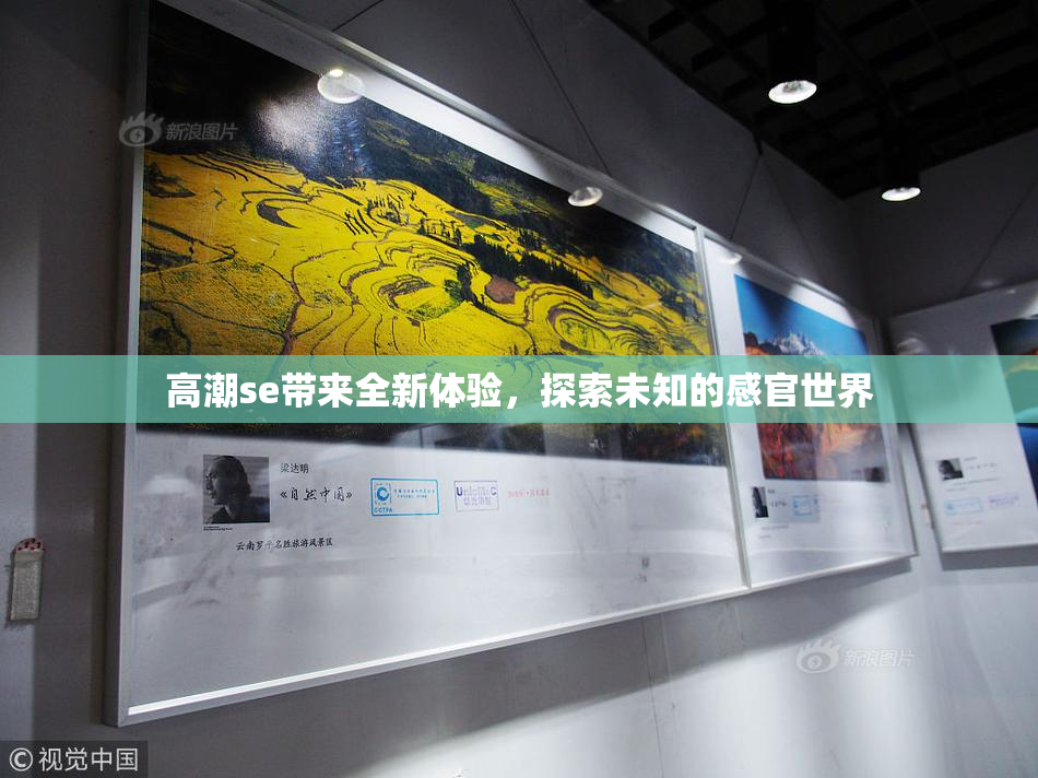 高潮se带来全新体验，探索未知的感官世界