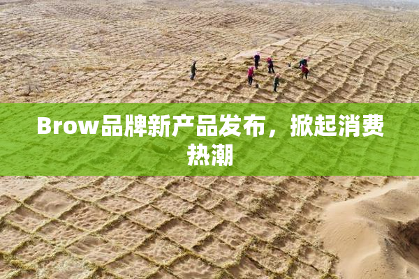 Brow品牌新产品发布，掀起消费热潮