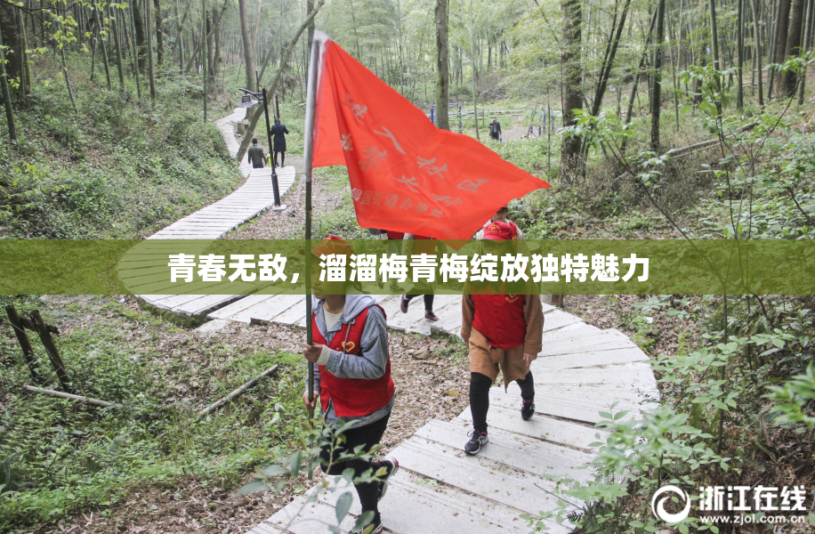 青春无敌，溜溜梅青梅绽放独特魅力