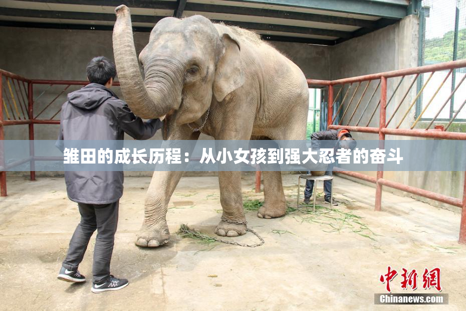 雏田的成长历程：从小女孩到强大忍者的奋斗
