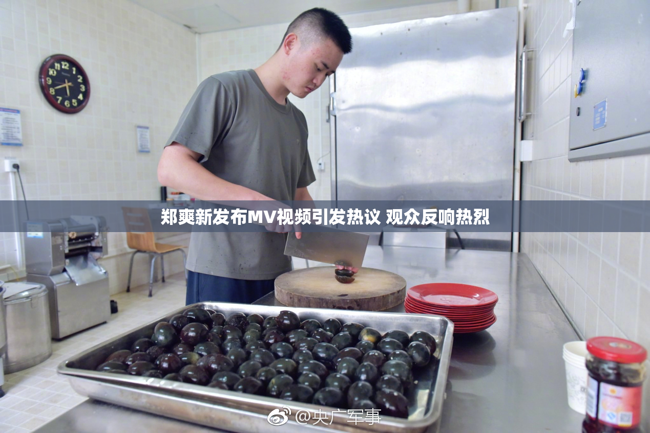 郑爽新发布MV视频引发热议 观众反响热烈