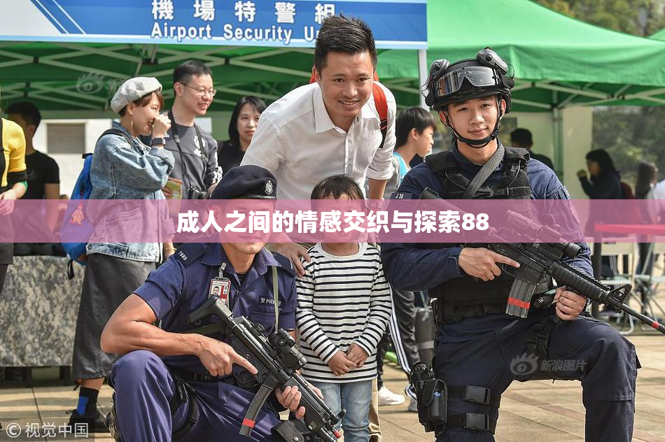 成人之间的情感交织与探索88
