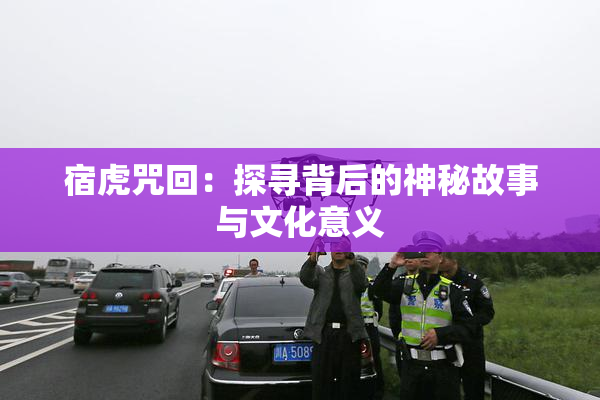 宿虎咒回：探寻背后的神秘故事与文化意义