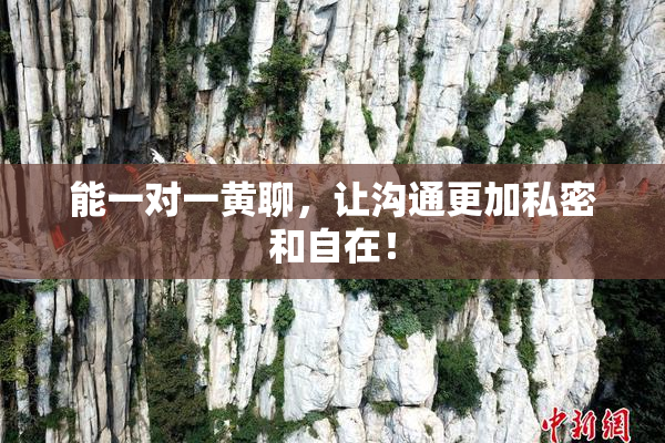 能一对一黄聊，让沟通更加私密和自在！