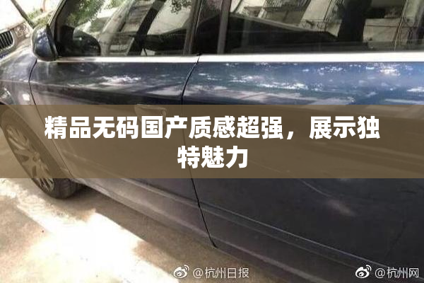 精品无码国产质感超强，展示独特魅力